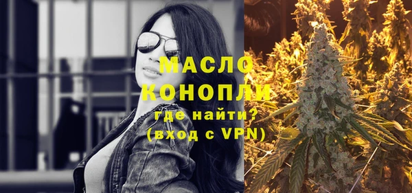 индика Болхов