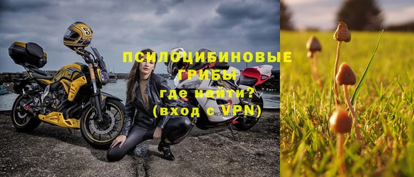 хмурый Мегион