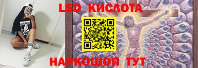 прущие крисы Гатчина