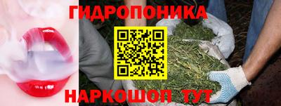 прущие крисы Гатчина