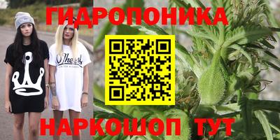 MESCALINE Гай