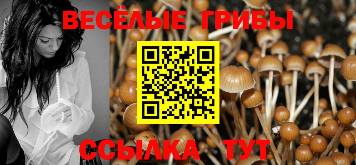 Псилоцибиновые грибы MAGIC MUSHROOMS Магадан