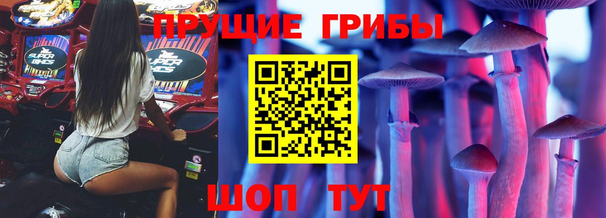 Псилоцибиновые грибы Cubensis  Вход с VPN  Псилоцибиновые грибы Psilocybe  Магадан 