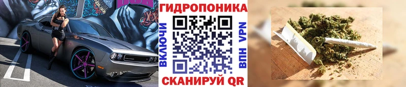 что такое наркотик  hydra tor  Конопля конопля  Магадан 